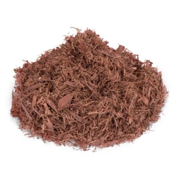 Buy Mexican - Mimosa hostilis Inner root bark | Jurema Preta - Image 2