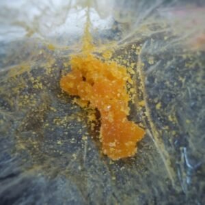DMT